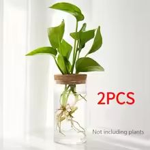 AquaBloom Glass Desktop Hydroponics Planter Elegant Vase For Plant Propagation Home Decor 10