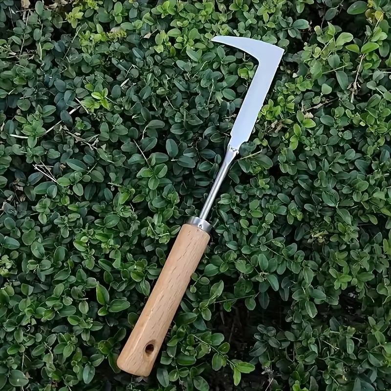Stainless Steel Weeding Tool – Precision Digger for Herbs, Bonsai & Soil Loosening