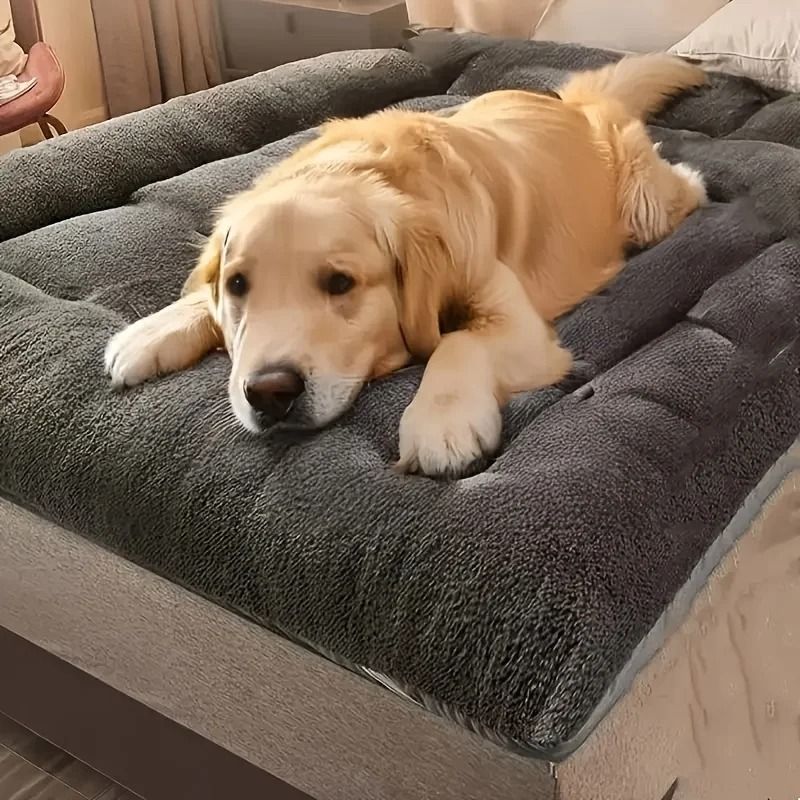 Extra Large Plush Dog Bed Sofa With Thickened Soft Cushion And Non Slip Base 4
