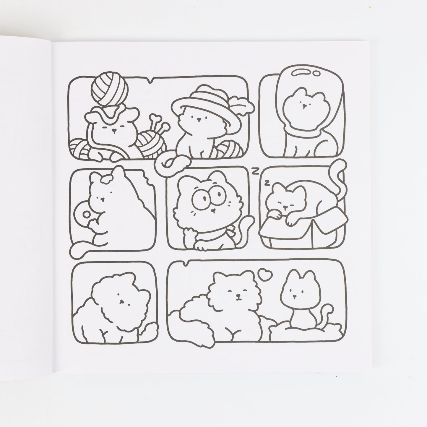 Bold and Easy Coloring Book for Adults, Relaxing Designs with Flowers, Plants, and Cute Animals