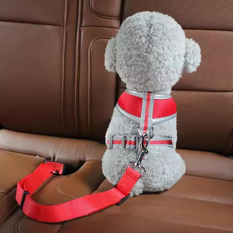 Dog Seat Belt With Retractable Leash  Convenient Pet Car Seat Belt For Safety And Comfort 3