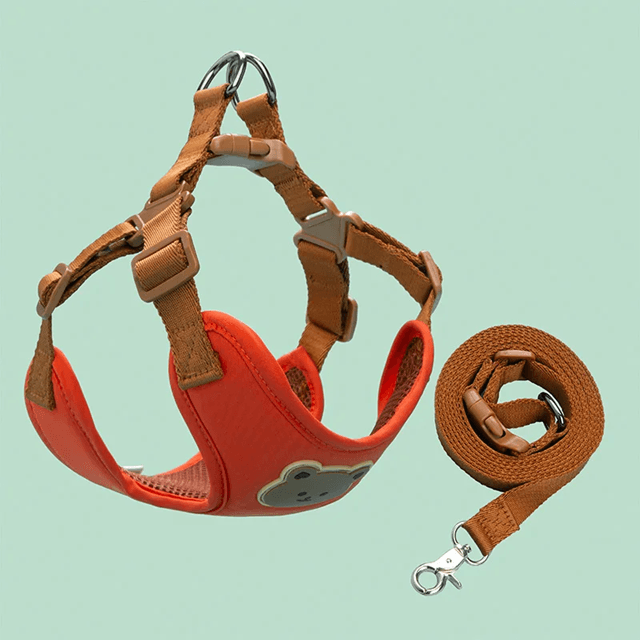 PawEase Breathable Dog Harness And Leash Set 4
