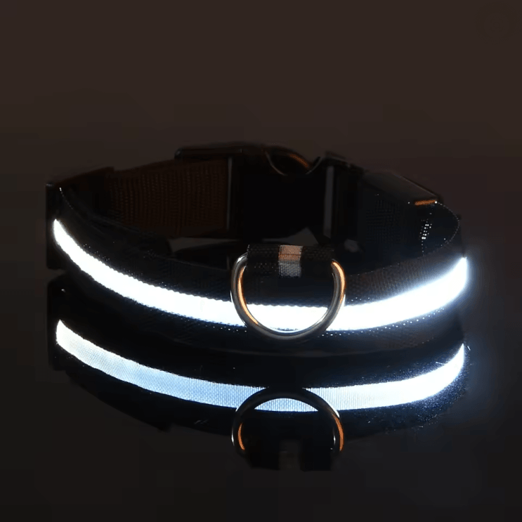 GlowGuard LED Dog Leash And Collar Set 2