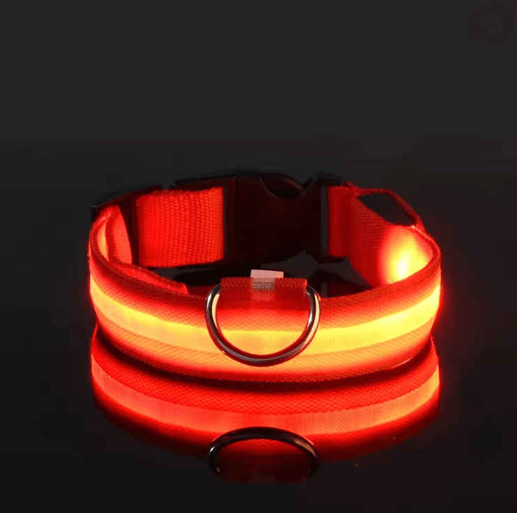 GlowGuard LED Dog Leash And Collar Set 3