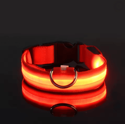 GlowGuard LED Dog Leash And Collar Set 3