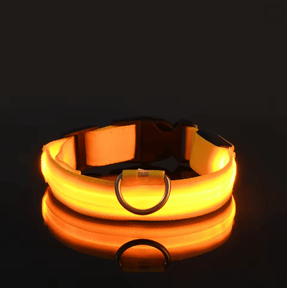 GlowGuard LED Dog Leash And Collar Set 5