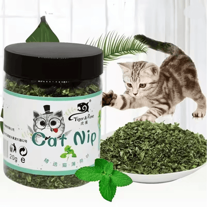 PurePlay Organic Catnip Grass Toy 4