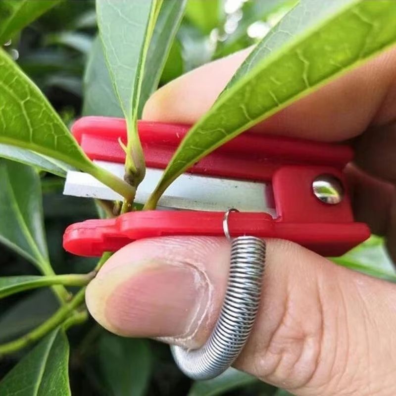 Ergonomic Thumb Knife Separator  MultiPurpose Fruit  Vegetable Harvesting Tool 4