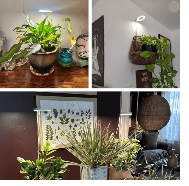 Indoor Full Spectrum LED Plant Grow Light Four Level Dimming Adjustable Height Stand 3