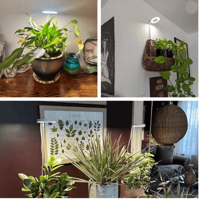 Indoor Full Spectrum LED Plant Grow Light Four Level Dimming Adjustable Height Stand 3