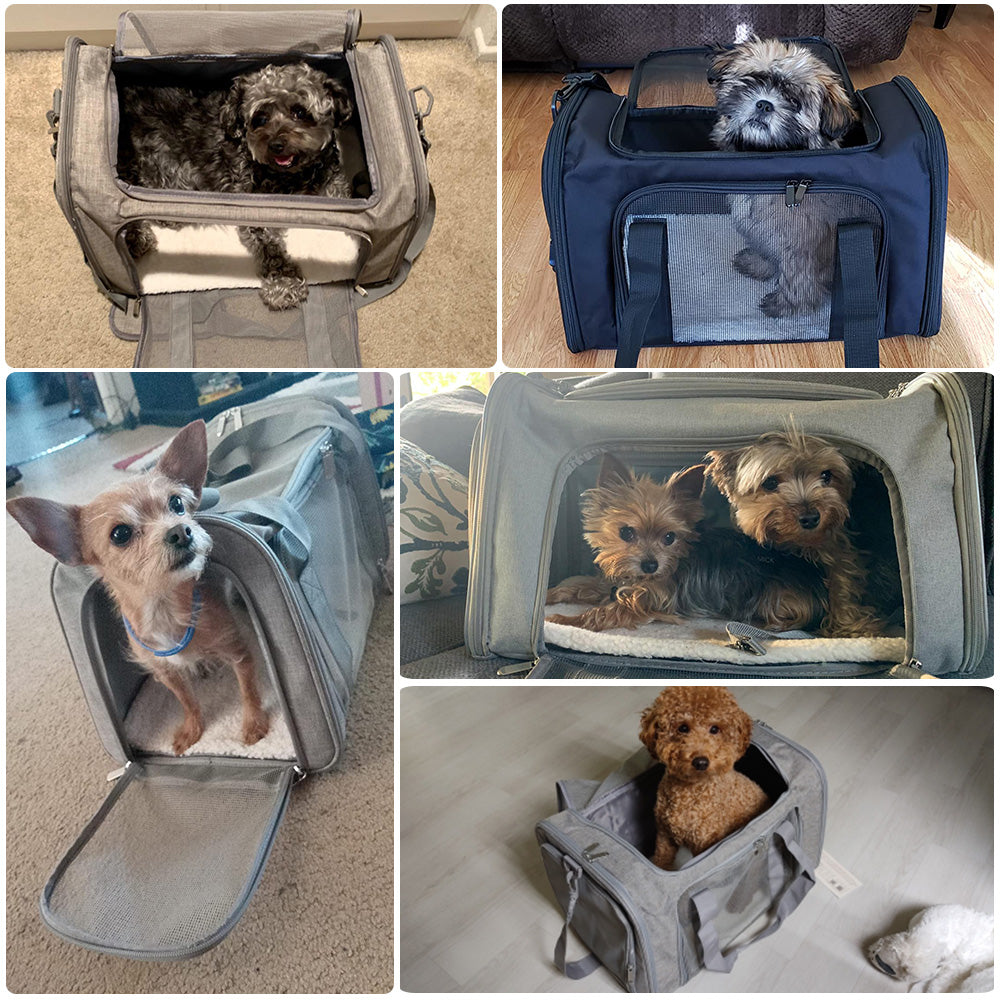 Cat Pet Carriers Dog Travel Bags Airline Approved Soft Side Dog Carrier Backpack Portable Travel Tr 5