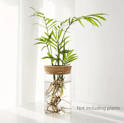 AquaBloom Desktop Glass Hydroponic Planter Vase 4