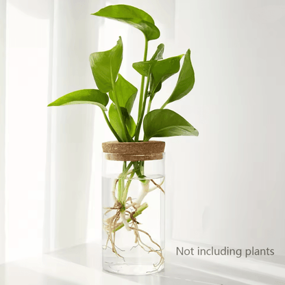 AquaBloom Desktop Glass Hydroponic Planter Vase 5