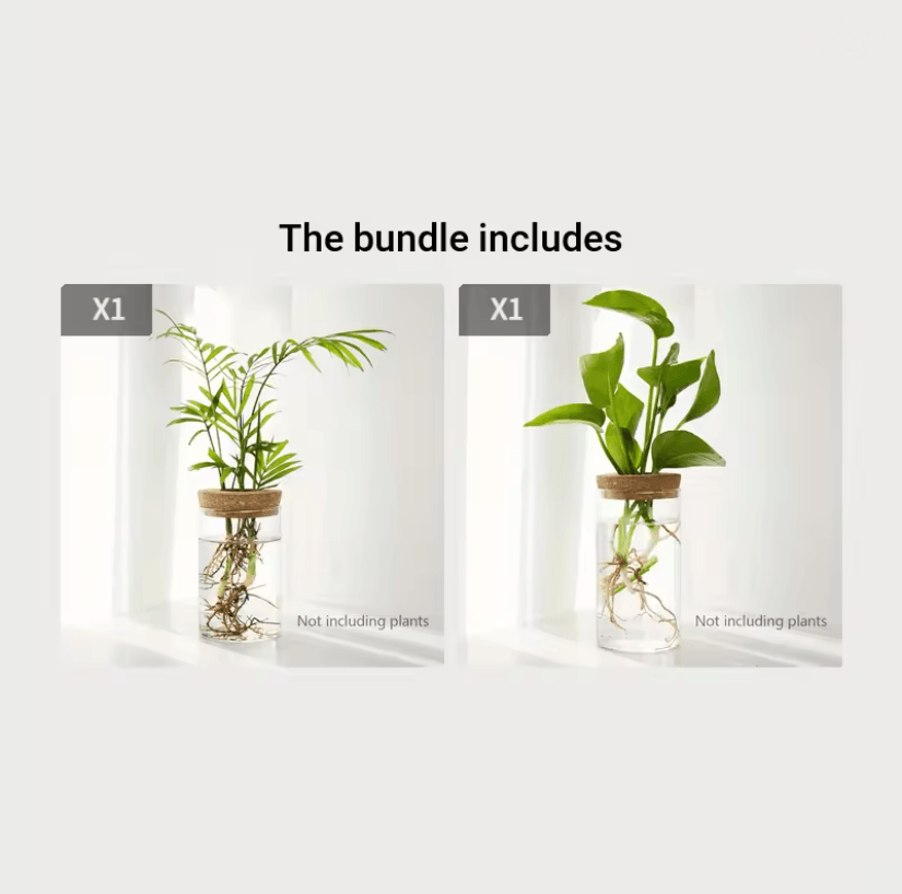 AquaBloom Desktop Glass Hydroponic Planter Vase 6