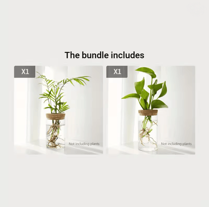 AquaBloom Desktop Glass Hydroponic Planter Vase 6
