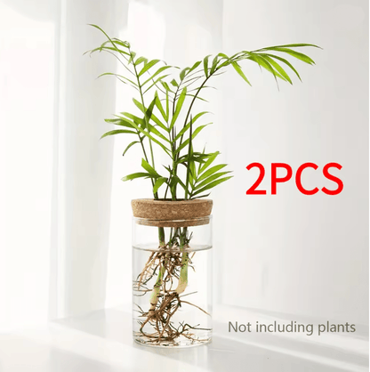 AquaBloom Desktop Glass Hydroponic Planter Vase 7