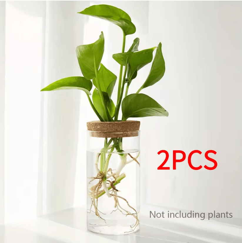 AquaBloom Desktop Glass Hydroponic Planter Vase 8