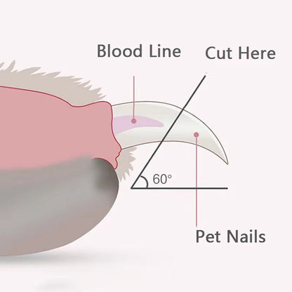 PawRadiant LED Pet Nail Clippers  Safe Grooming For Dogs Cats  Small Animals 4