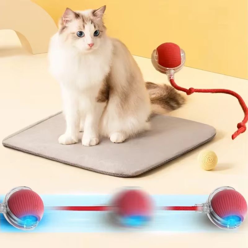WhiskerSpin Smart Rolling Toy Ball  USB Rechargeable Auto Teaser For Cats  Pets 2