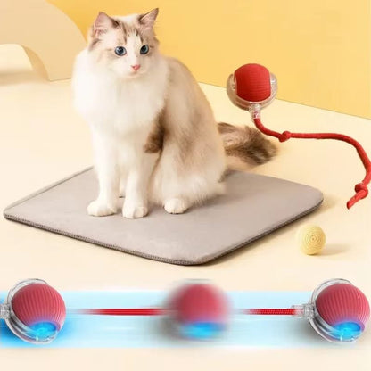 WhiskerSpin Smart Rolling Toy Ball  USB Rechargeable Auto Teaser For Cats  Pets 2