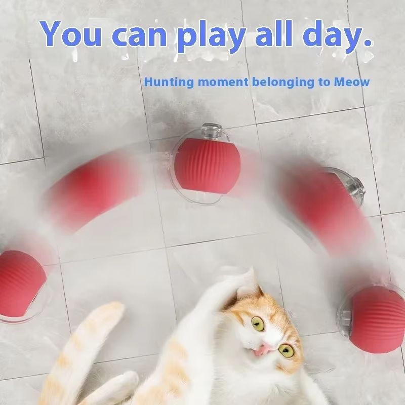 WhiskerSpin Smart Rolling Toy Ball  USB Rechargeable Auto Teaser For Cats  Pets 3