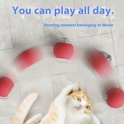 WhiskerSpin Smart Rolling Toy Ball  USB Rechargeable Auto Teaser For Cats  Pets 3