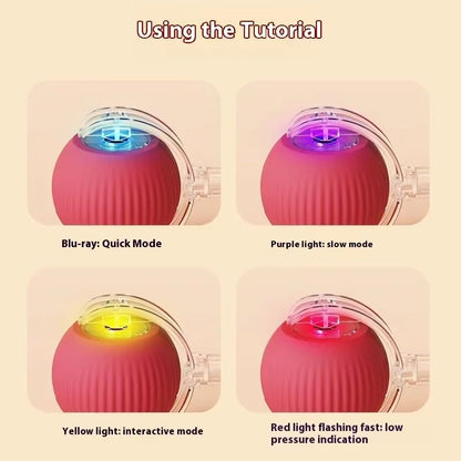WhiskerSpin Smart Rolling Toy Ball  USB Rechargeable Auto Teaser For Cats  Pets 5