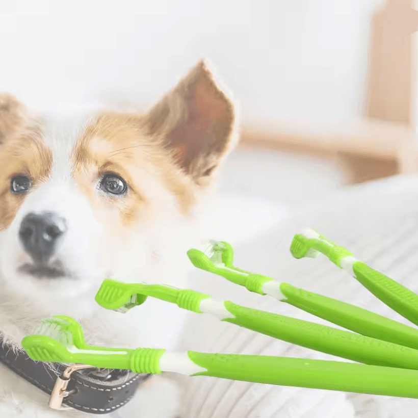 TriClean Three Sided Pet Toothbrush