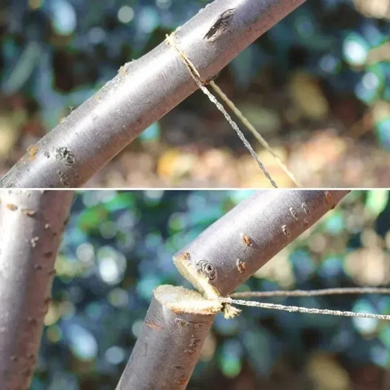 Portable Stainless Steel Wire Saw For Outdoor Survival And Camping 5