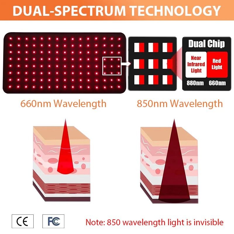 Infrared Red Light Therapy Belt With 120 LEDs For Deep Body Relief And Recovery 4