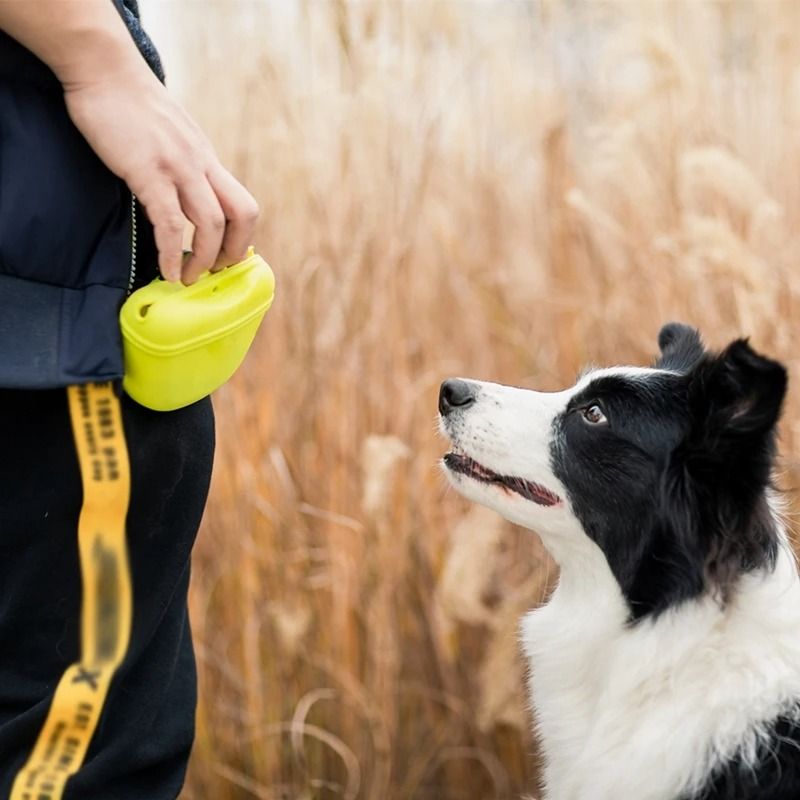 Dog Training Waist Treat Bag With Snack Storage Pouch 4