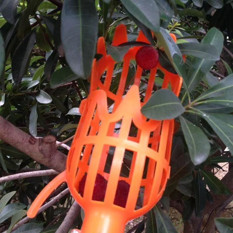 SkyHarvest HighBranch Fruit Picker Tool  Extendable Garden Picking Device For Bayberry Loquat Plum  1