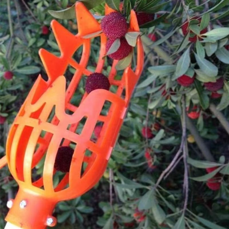 SkyHarvest HighBranch Fruit Picker Tool  Extendable Garden Picking Device For Bayberry Loquat Plum  3
