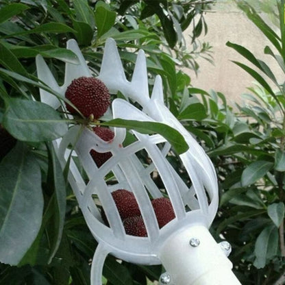 SkyHarvest HighBranch Fruit Picker Tool  Extendable Garden Picking Device For Bayberry Loquat Plum  5
