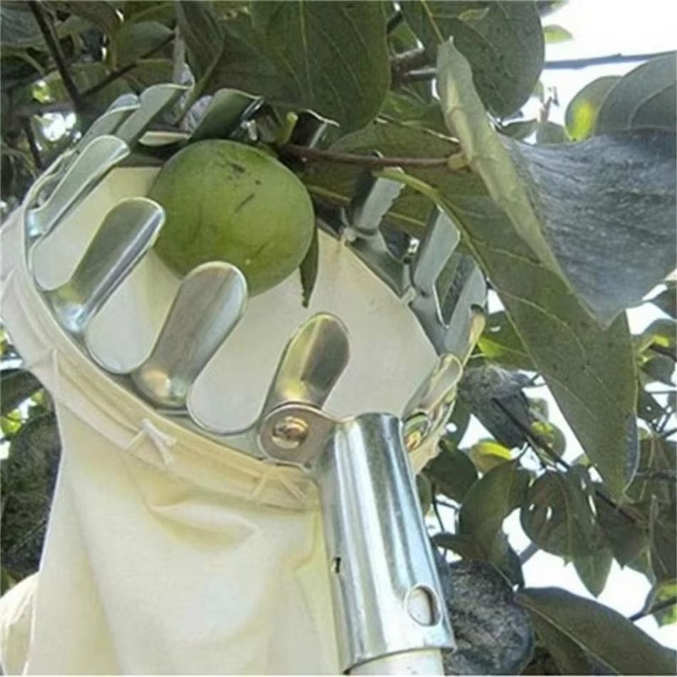 TreeReach Telescopic GalvanizedIron HighBranch Fruit Picker  MultiPurpose Garden  Farm Tool 1