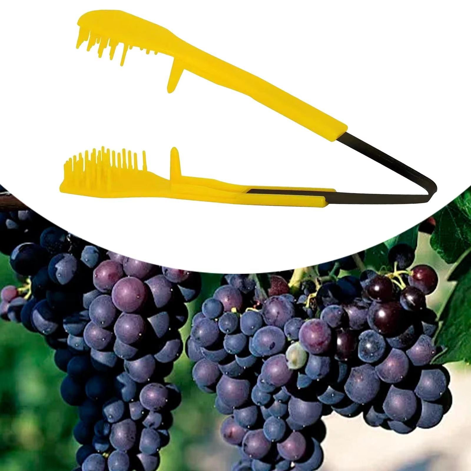 GrapeTrim 669 Handheld Pruning  Thinning Clip  Precision BudFlower Tool For Grape Vines 3