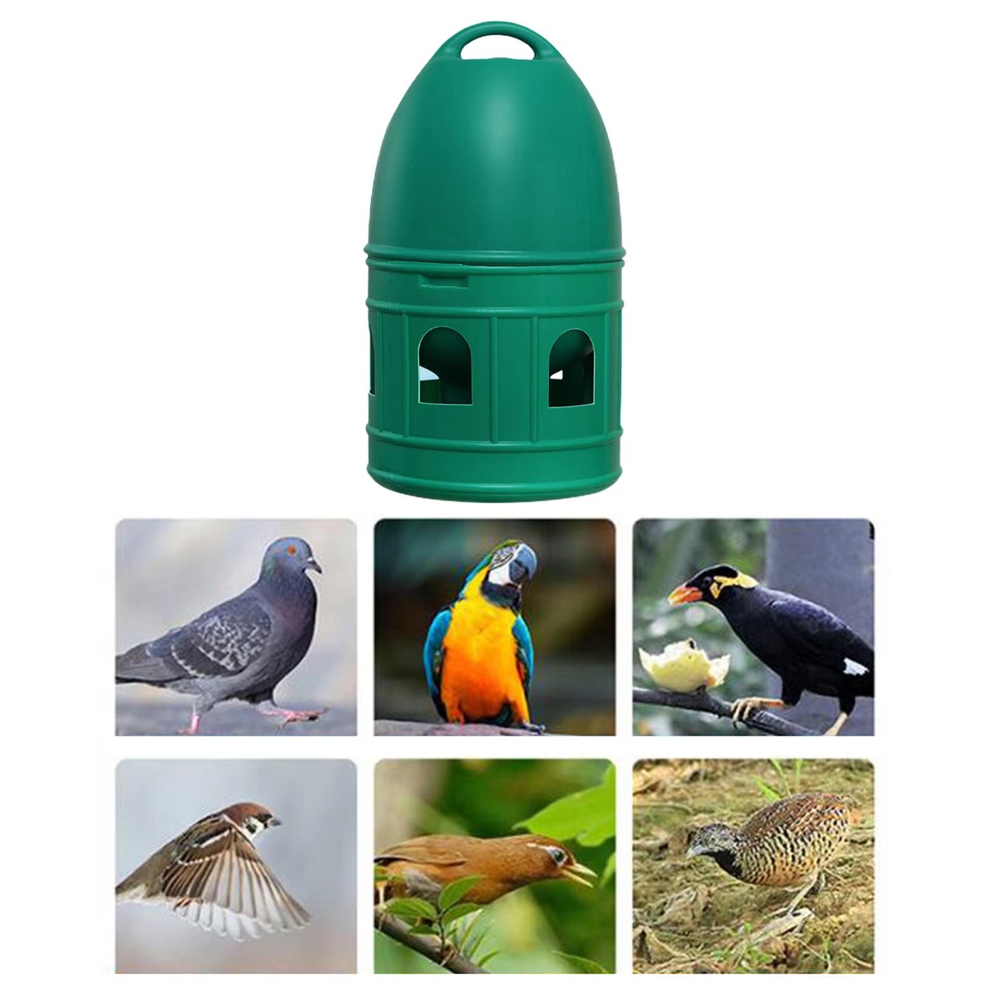 Parrot Pro Water Dispenser With Handle  Automatic Drinker For Parakeets Ducks Chicks  Poultry 3