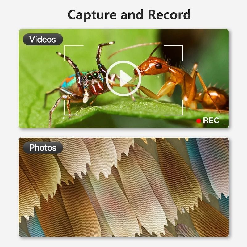1600X USB Digital Microscope With 1080P HD Camera And Adjustable 8 LED Lights  Compatible With Andr 3
