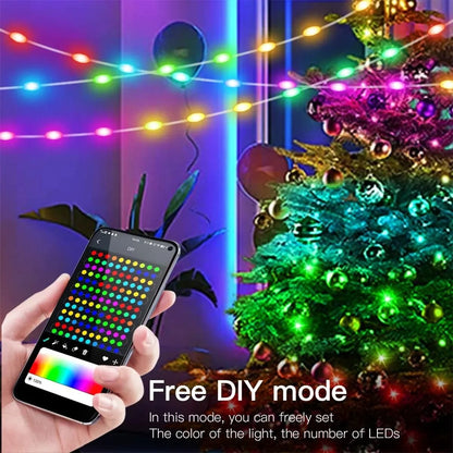 RGBIC LED String Light With Bluetooth App Control 2