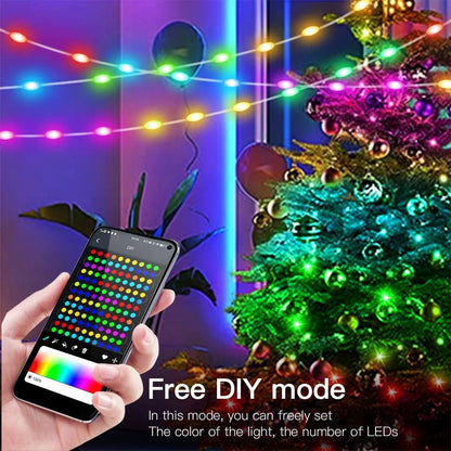 RGBIC Bluetooth LED String Light WS2812B USB Music Dream Color Light 3