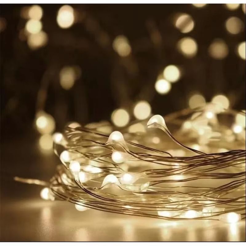 5M LED Fairy Lights  Battery Operated Copper Wire Garland String Lights For Outdoor Garden Party We 1