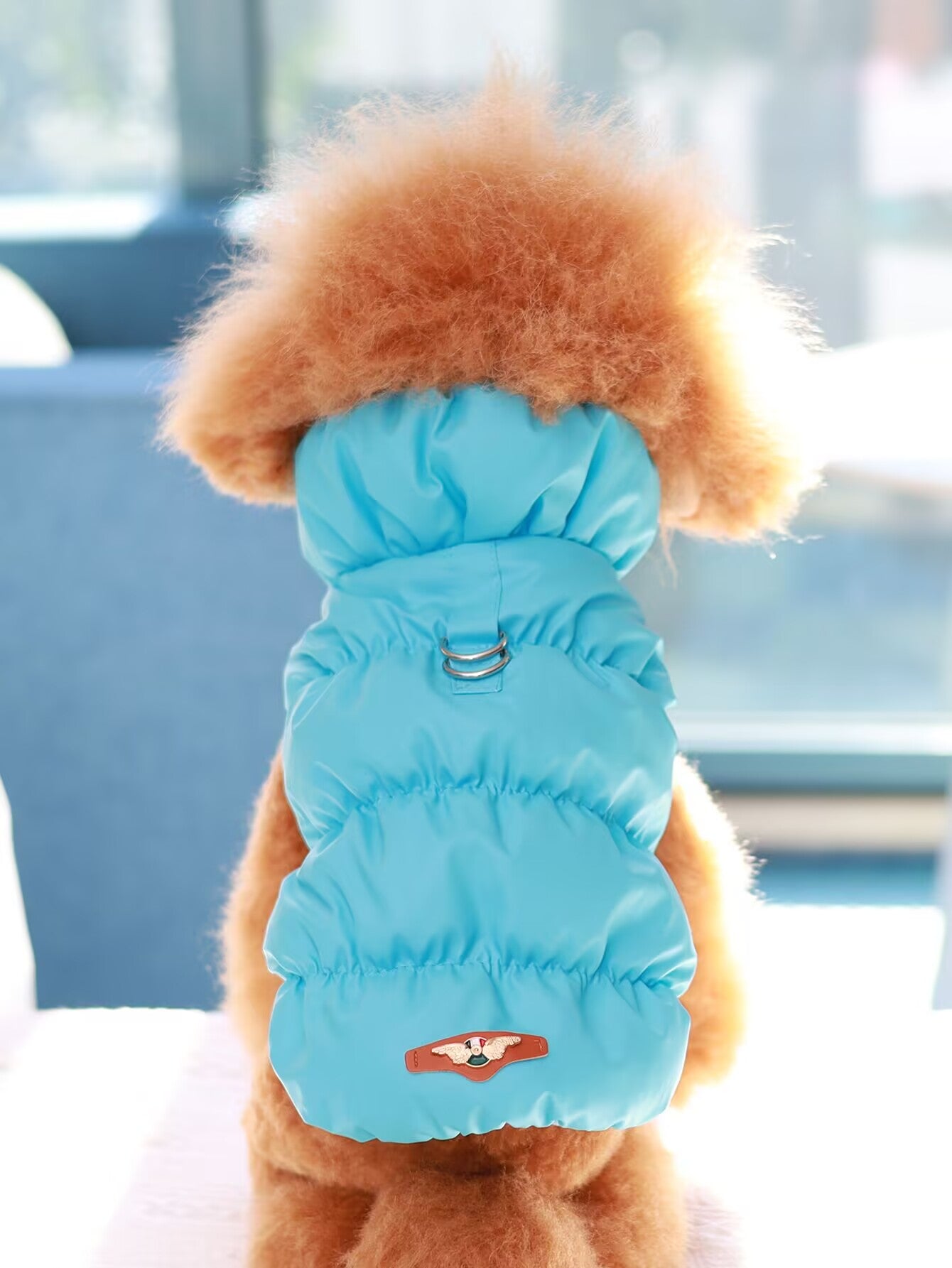 Thick Warm Dog Jacket For Autumn Winter Cozy Pet Coat For Small To Medium Dogs Poodle Teddy York Ou 4
