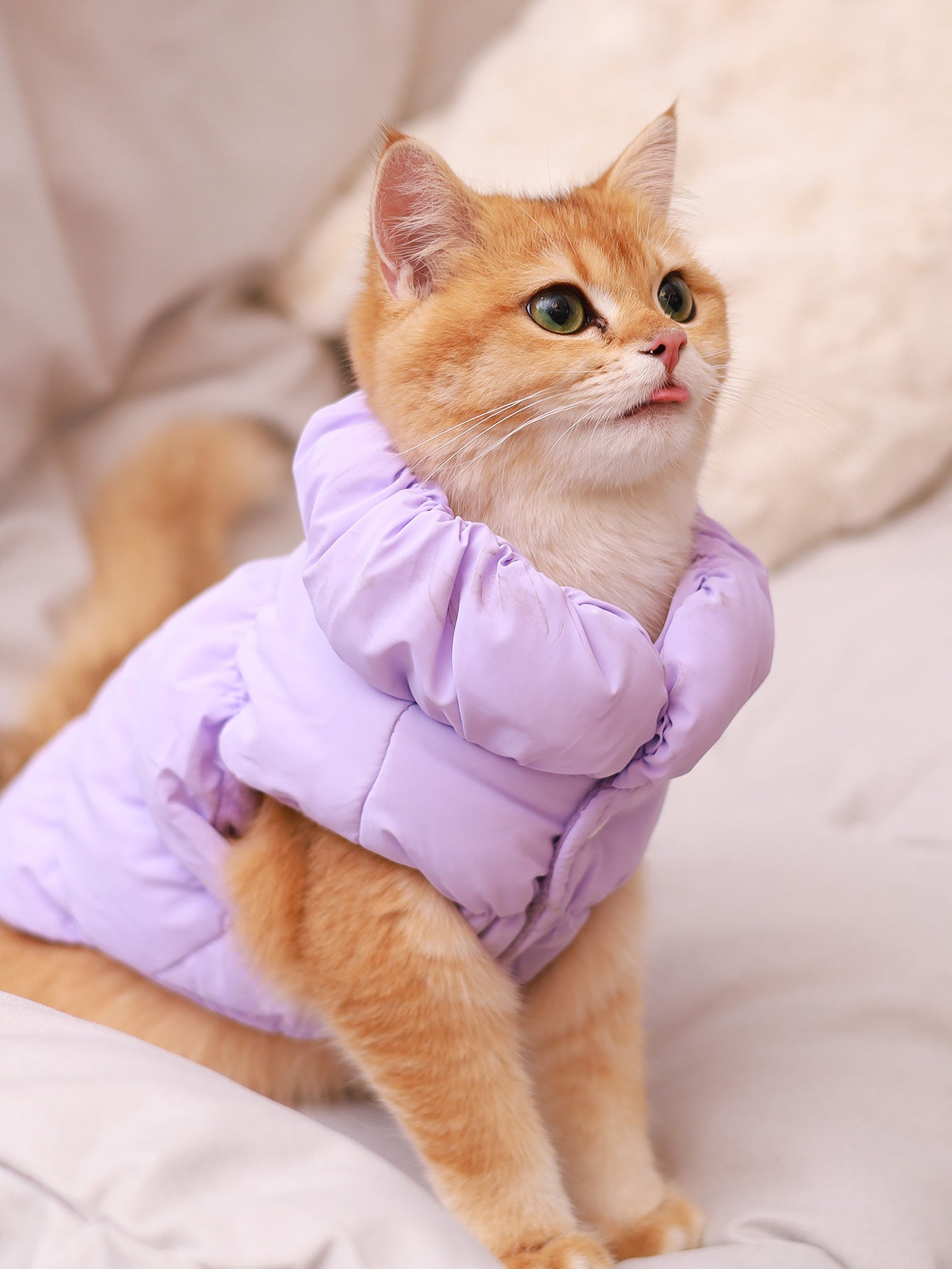 Thick Warm Dog Jacket For Autumn Winter Cozy Pet Coat For Small To Medium Dogs Poodle Teddy York Ou 10