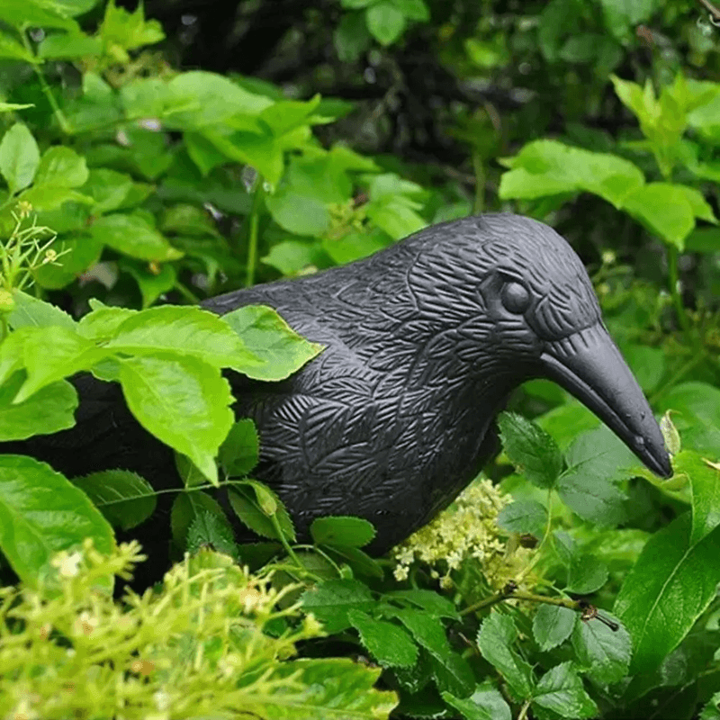RealGuard Black Crow Decoy  Realistic Bird Repellent For Garden Yard And Outdoor Pest Control 2