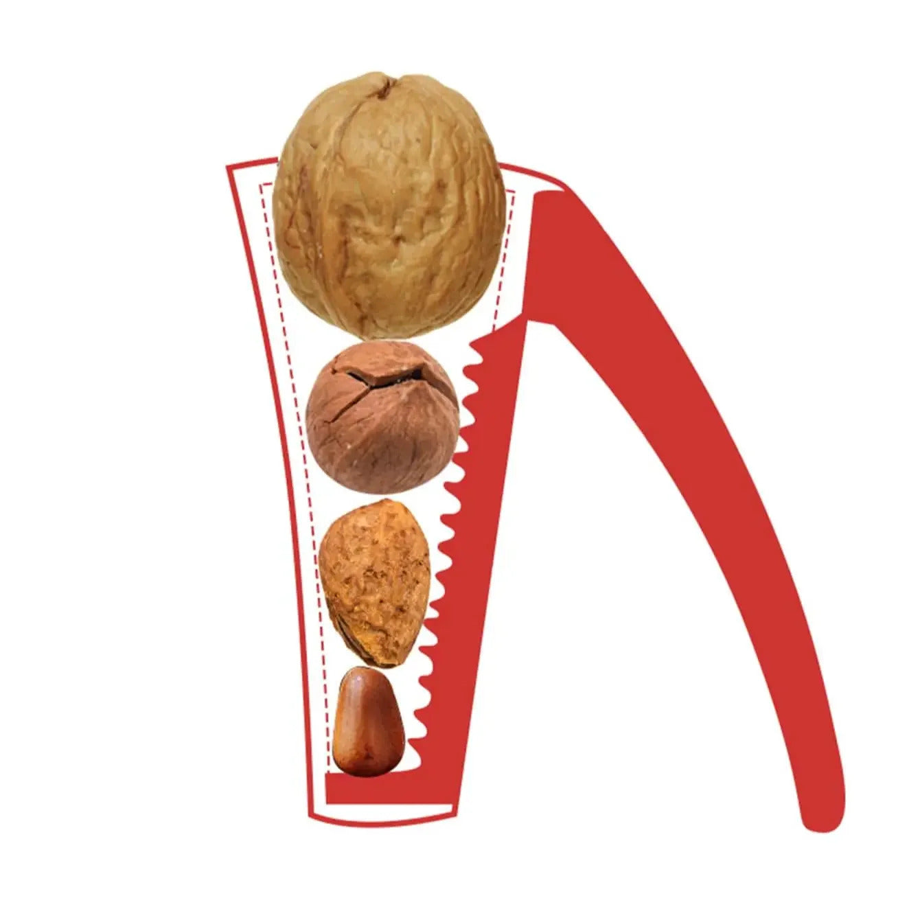 Almond Nut, Pecan Nuts, Zinc Alloy Nutcracker, Walnut Sheller, Kitchen Nut Opener, Hazelnut Chestnut Pliers