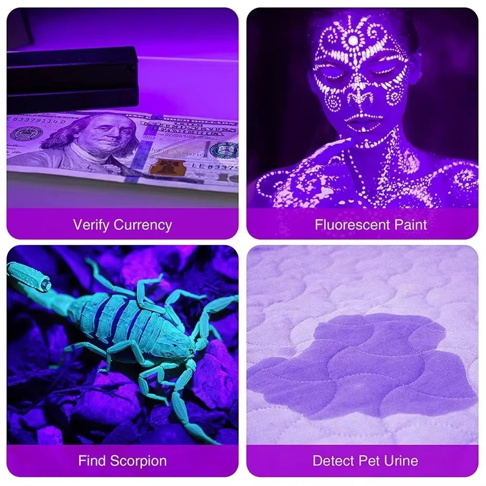 912 LED Portable UV Flashlight 395 Nm  Black Light Detector For Pet Stains Bed Bugs  Hidden Spots 2