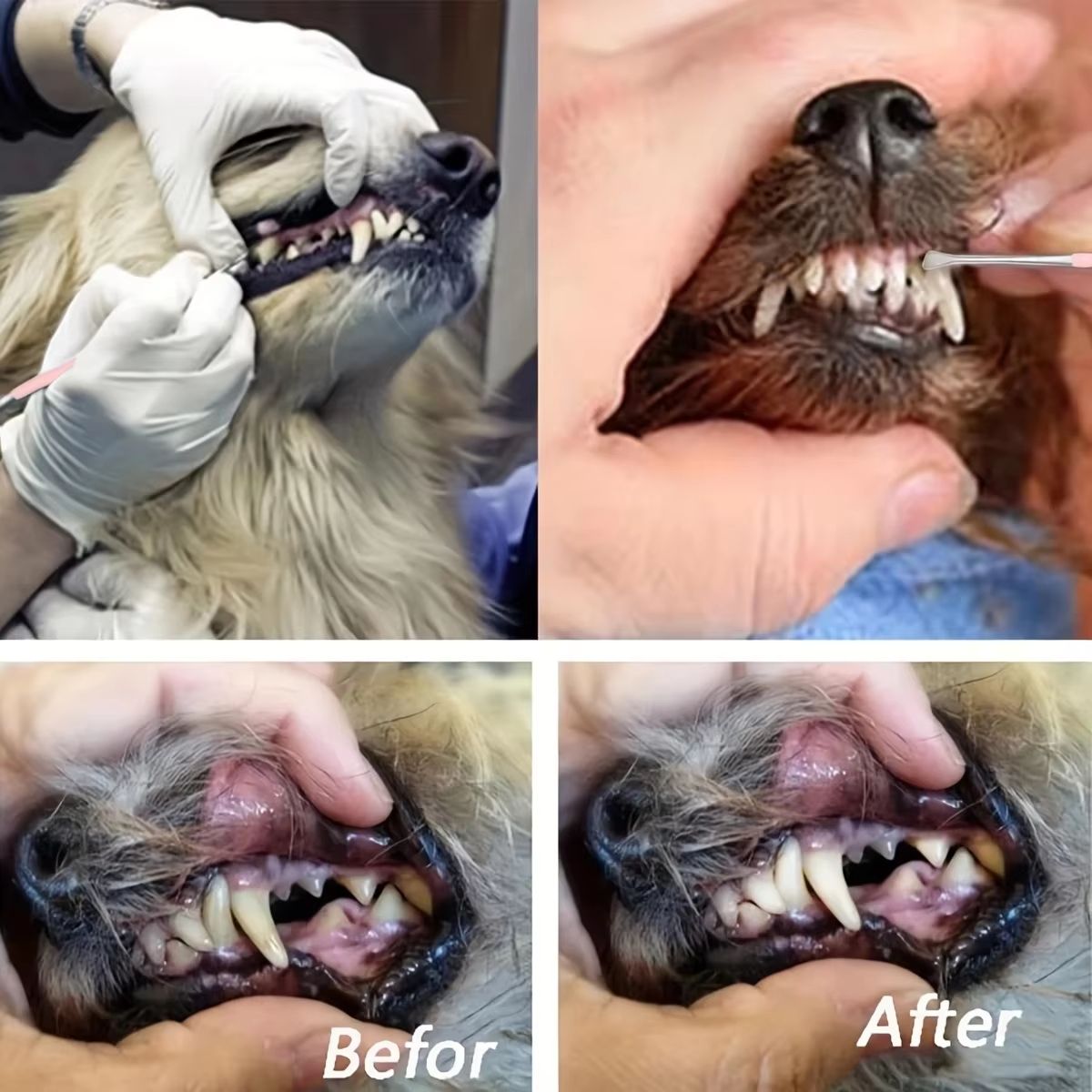 ProClean DualHead Dog Tartar Remover  Oral Care Kit 2