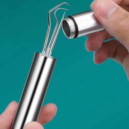CleanCarry Stainless Steel Toothpick  Flossing Travel Set 5