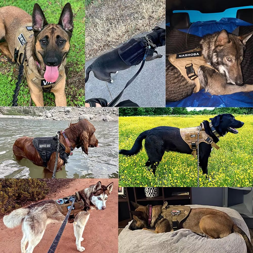 K9Force Elite Tactical Dog Harness  Large Military Style Vest For German Shepherd Malinois  Working 5