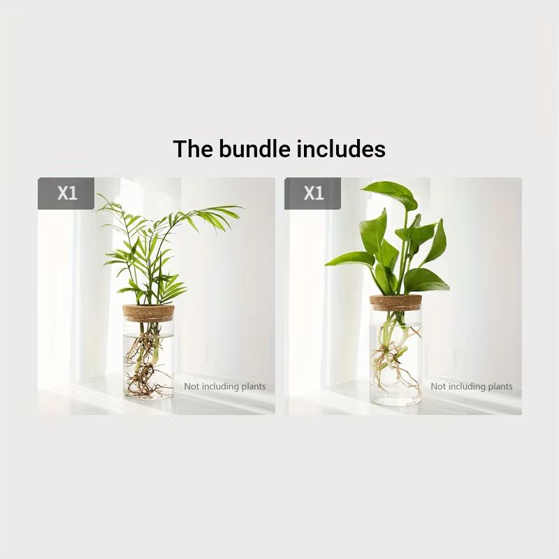 AquaBloom Glass Desktop Hydroponics Planter  Elegant Vase For Plant Propagation  Home Decor 9